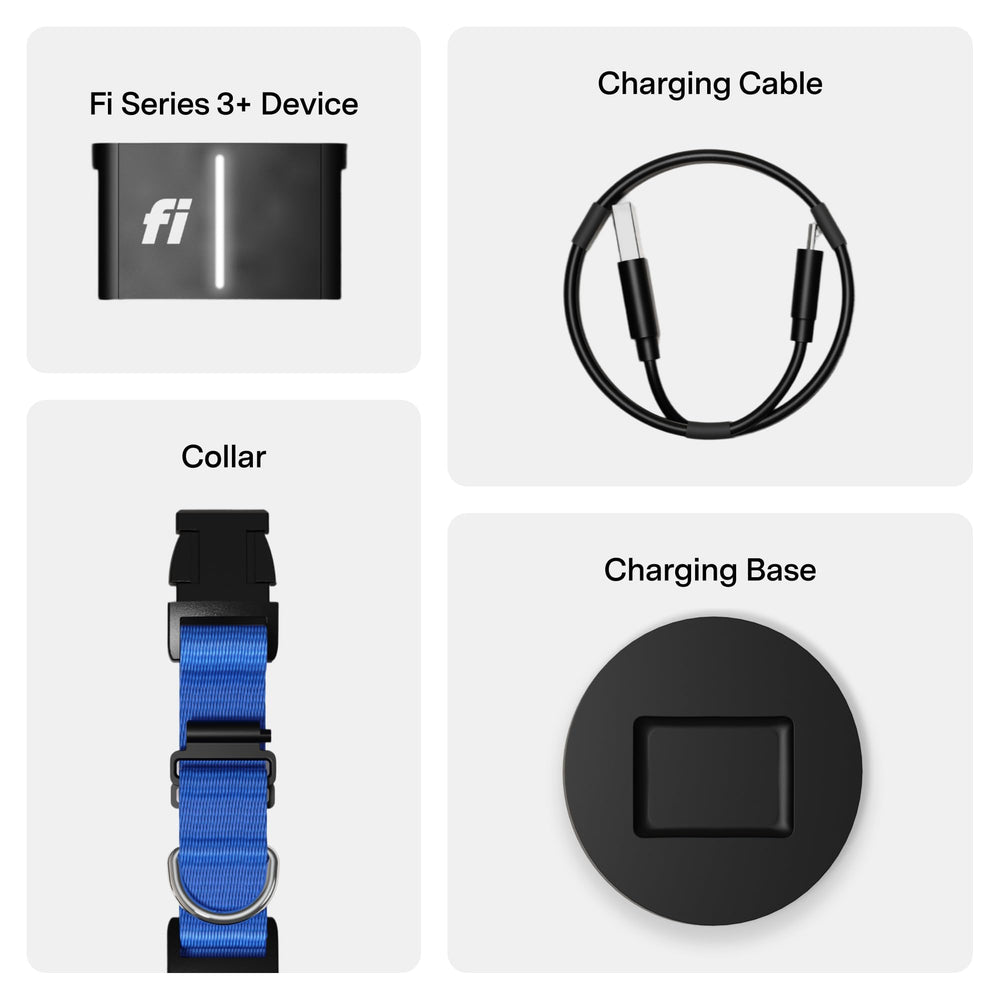 Fi Series 3+ collar included six-month membership access for full feature use.