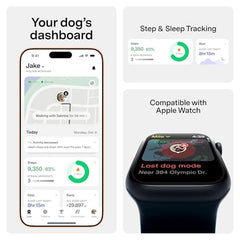 Fi Series 3+ health-behavior tracking visualizes activity, rest, barking, and more for insights.