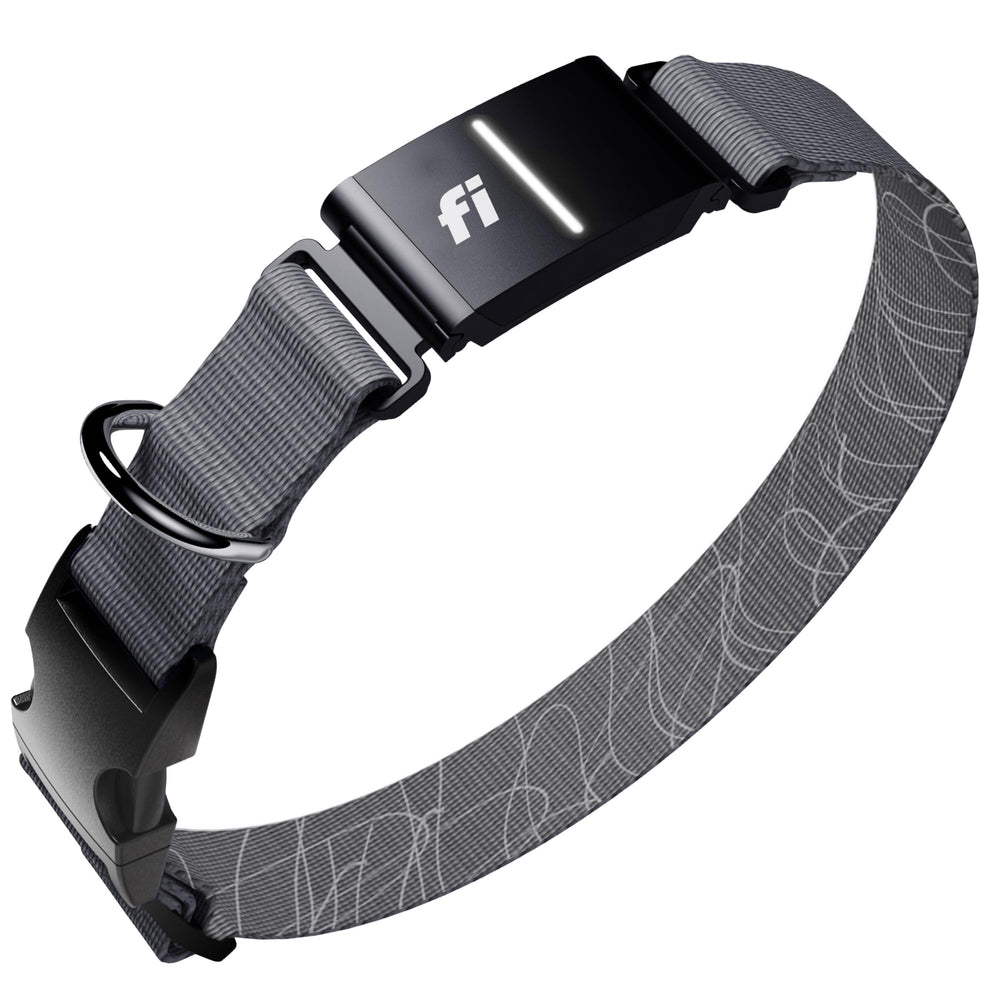 Fi Series 3+ live location map shows real-time tracking for faster reunions.