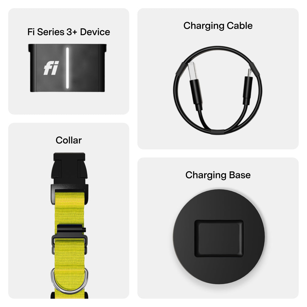 Fi Series 3+ yellow collar includes a six-month membership for easy start.