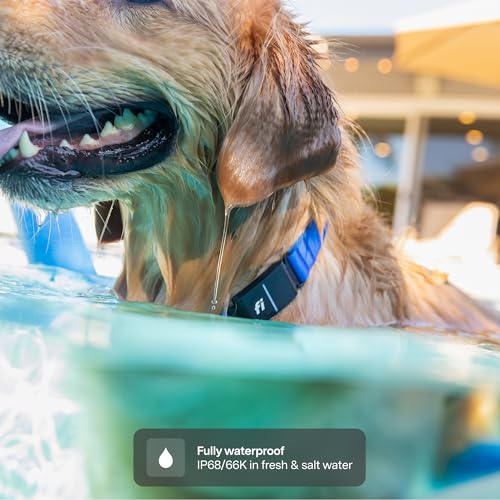 Fi Series 3+ yellow collar escape alerts keep you informed when your dog leaves safe zones.