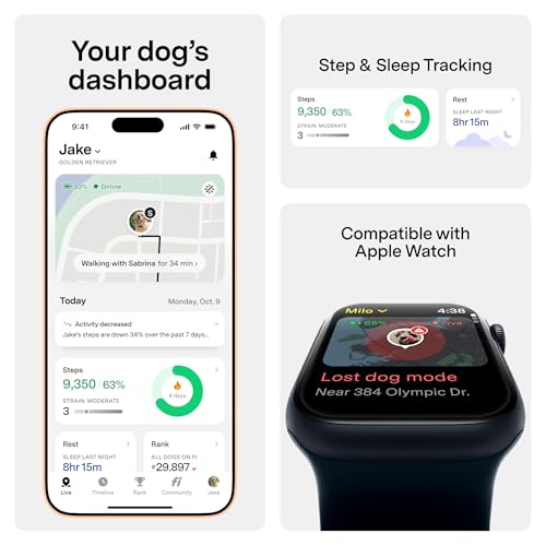 Fi Series 3+ yellow collar health and behavior insights available in the app.