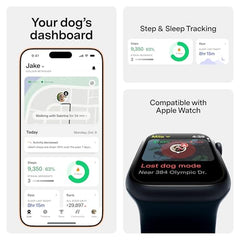 Fi Series 3+ yellow collar health and behavior insights available in the app.