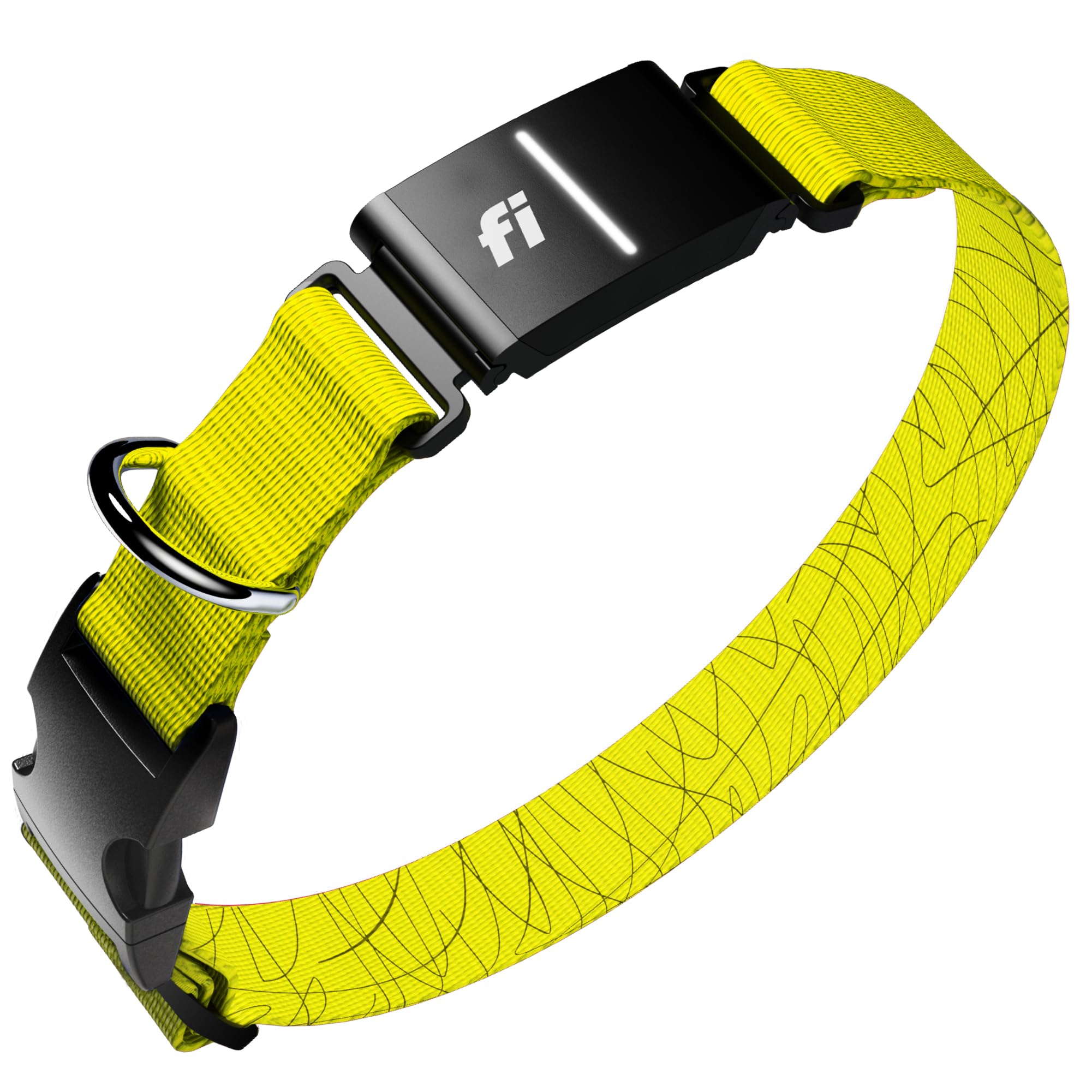 Fi Series 3+ yellow collar live location map demonstrates real-time tracking for peace of mind.