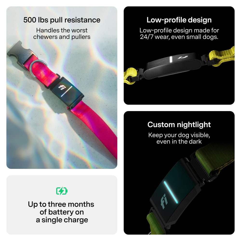 Fi Series 3+ yellow collar quick setup guide for new users.