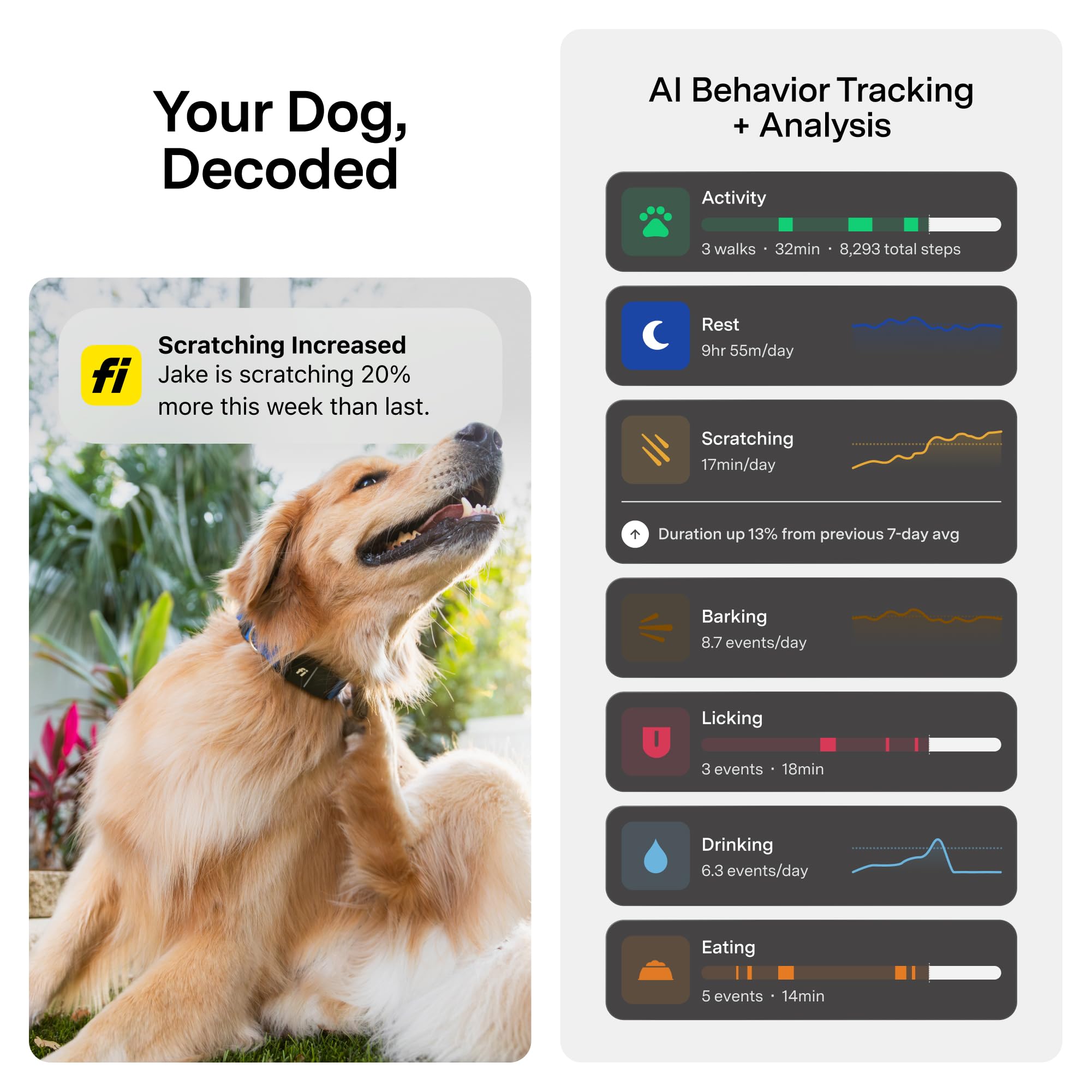 Fi Series 3+ yellow collar stores vet records for quick access during visits.