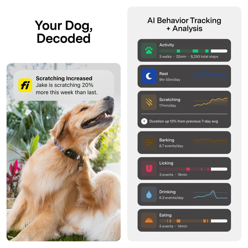 Fi Series 3+ yellow collar stores vet records for quick access during visits.