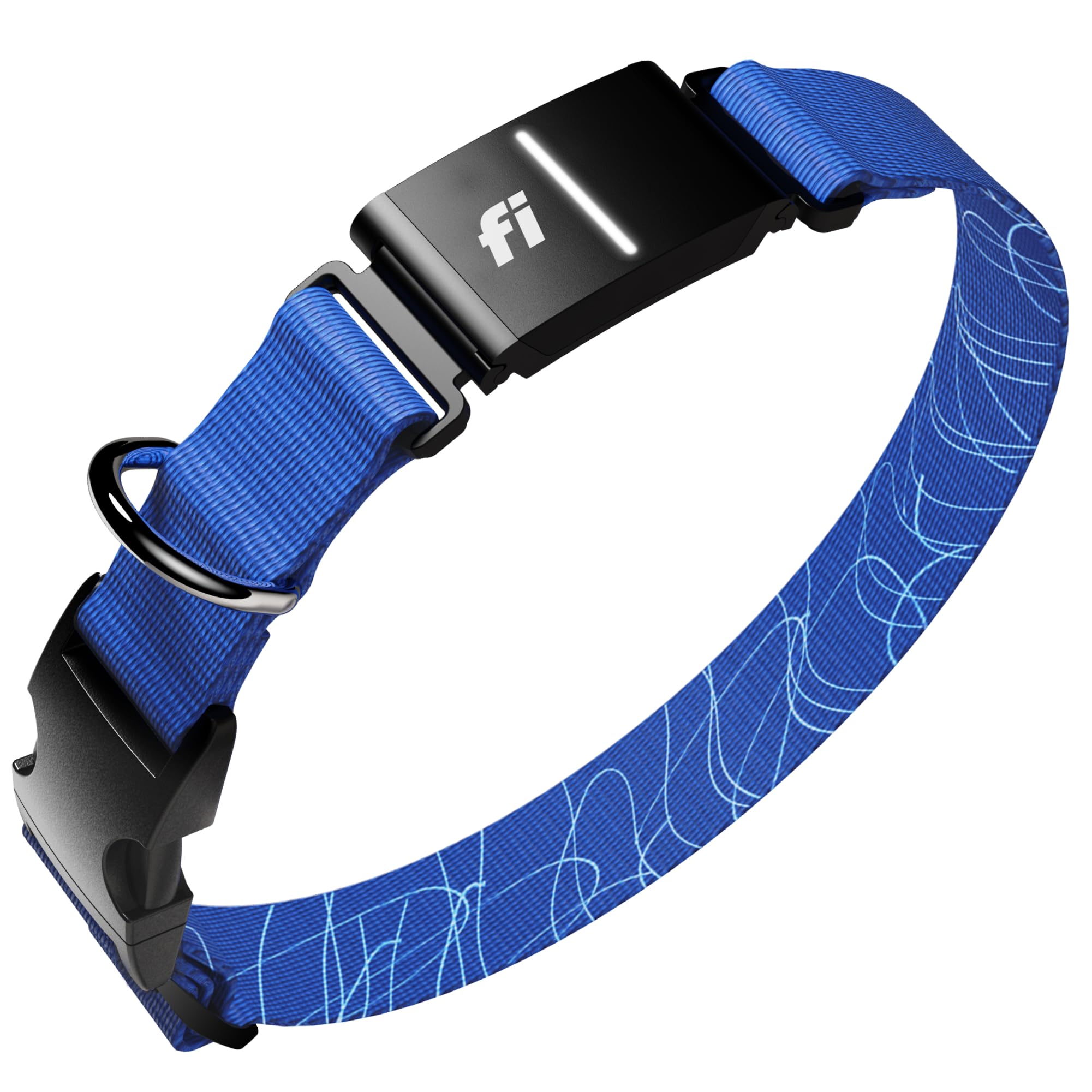 Fi Series 3+ GPS live location helps track your dog's whereabouts during outdoor adventures