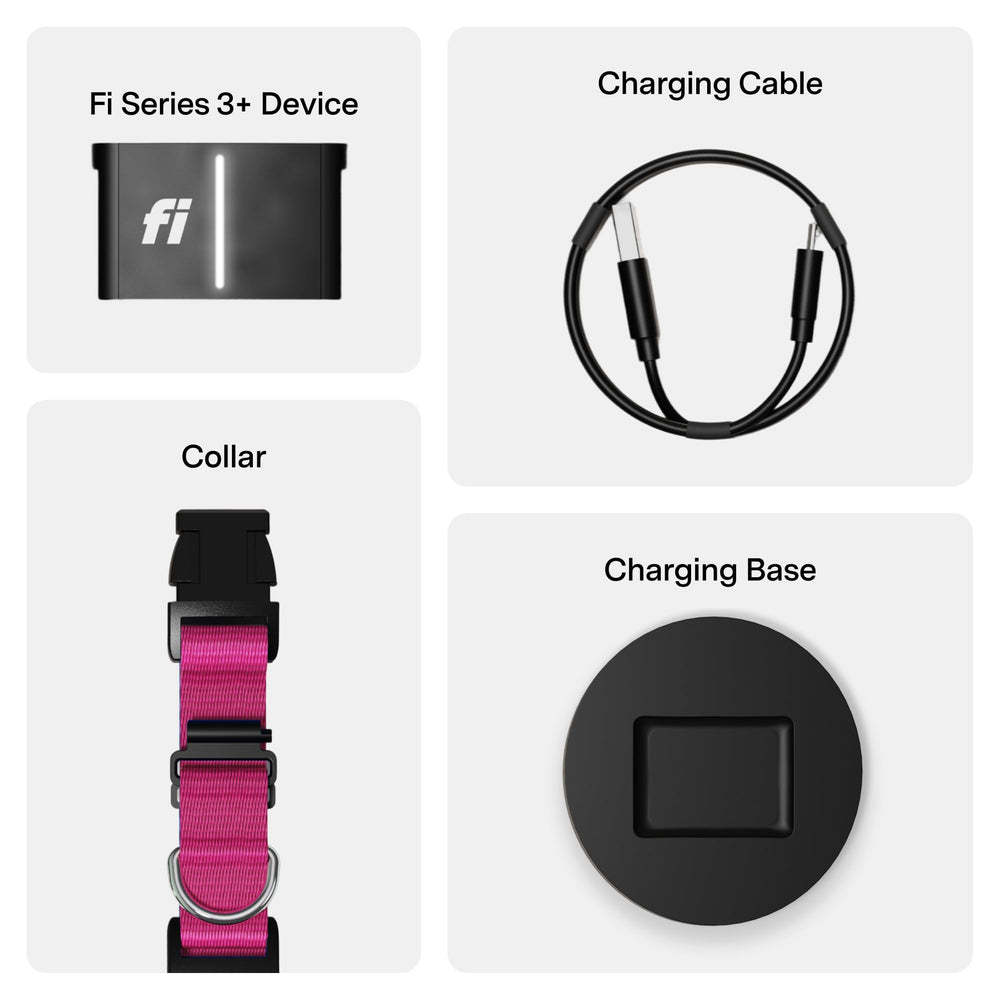 Fi Series 3+ vet records app stores medical documents in one place