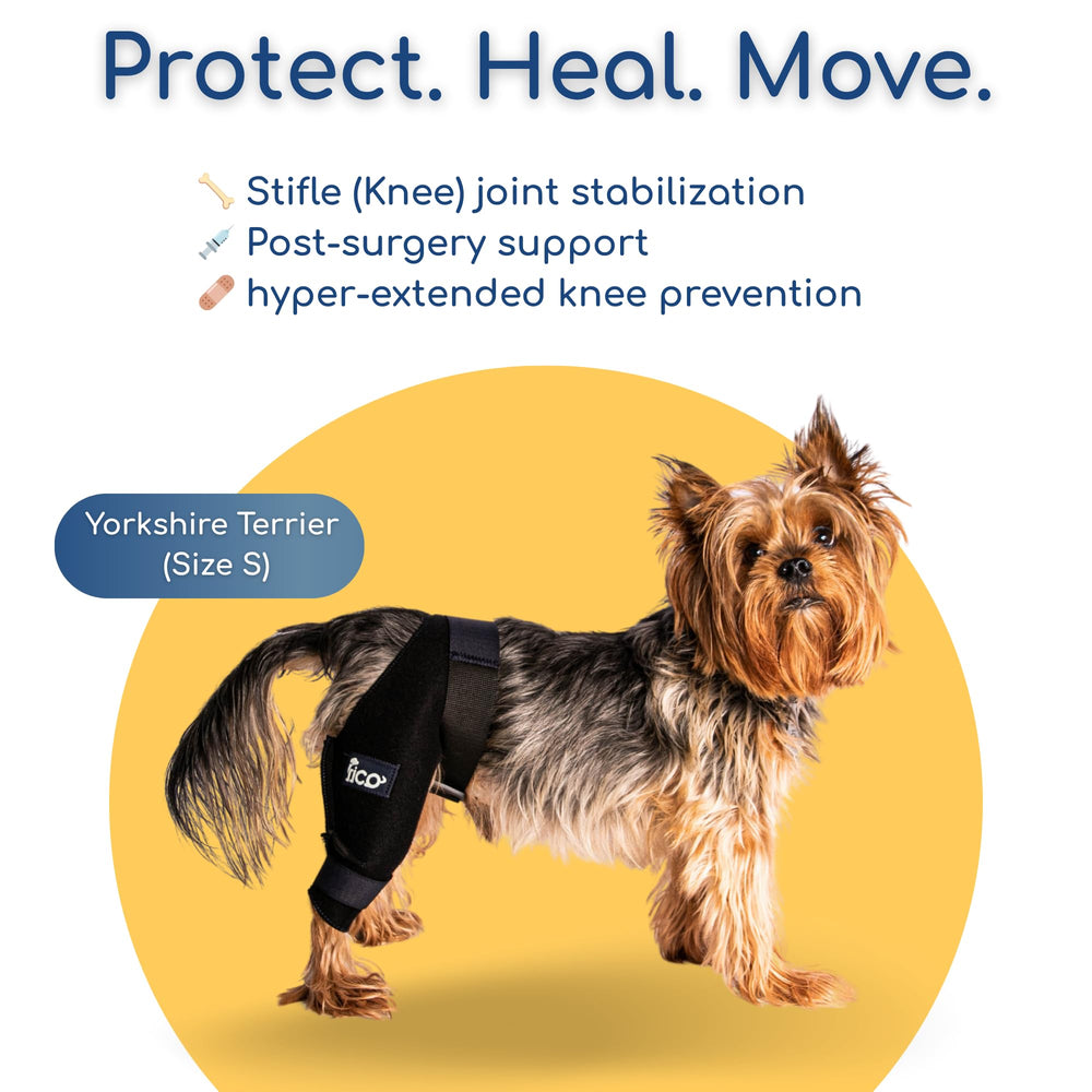 Fico dog knee brace lightweight design supports movement during walks