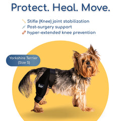 Fico dog knee brace lightweight design supports movement during walks