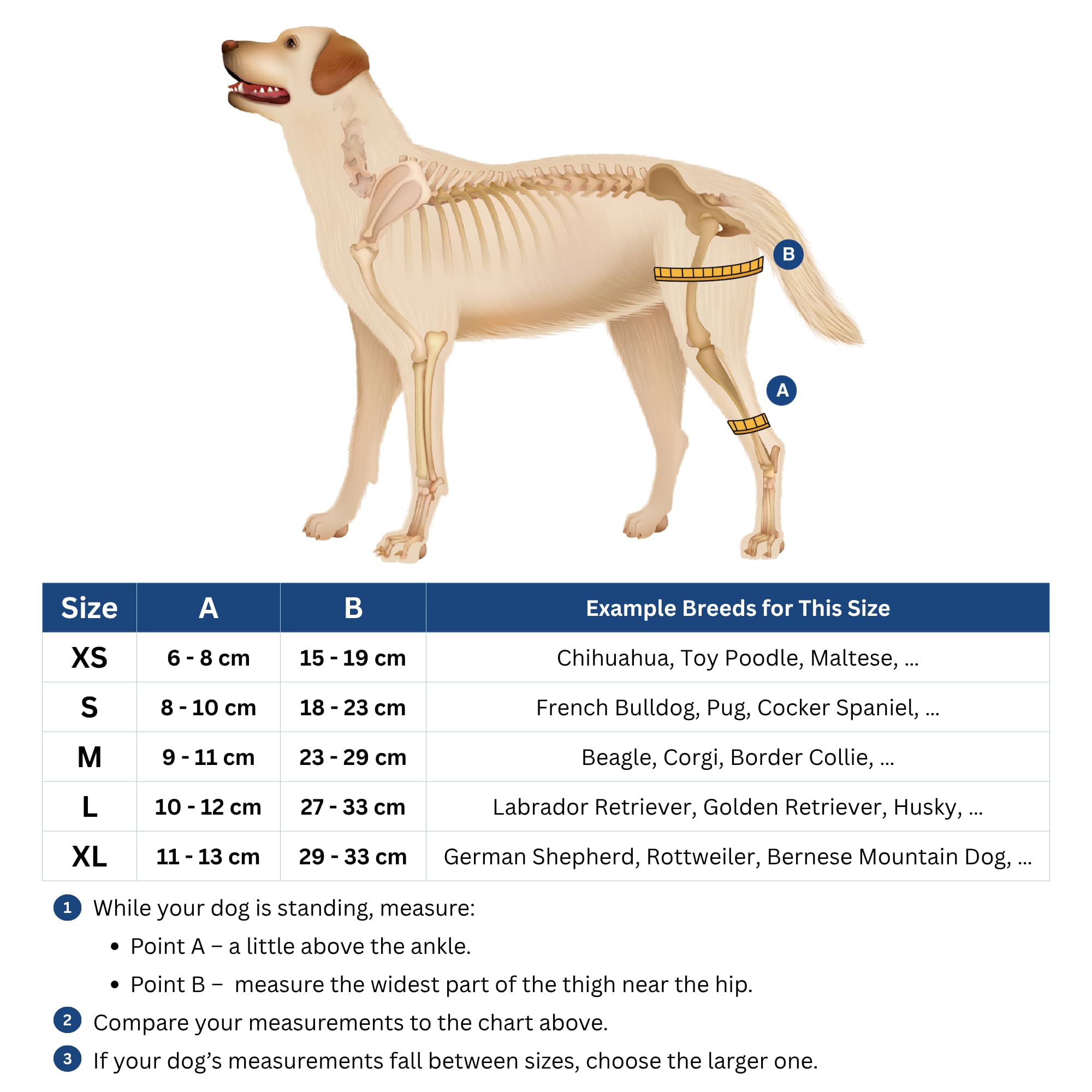 Fico knee brace with Velcro straps ensures easy, customizable fit for dogs
