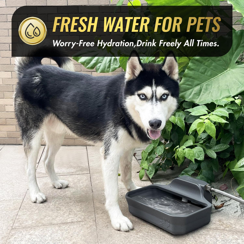 Ficuswin 3/4 GHT faucet connection for quick outdoor setup