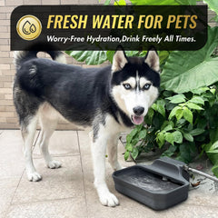 Ficuswin 3/4 GHT faucet connection for quick outdoor setup