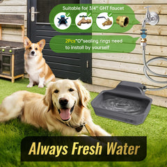 Ficuswin valve closeup highlighting automatic refill mechanism