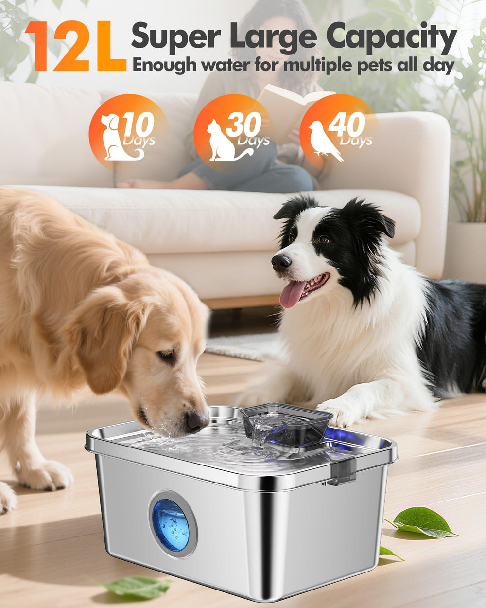 Ficuswin dog water fountain visual water level lets you monitor hydration.