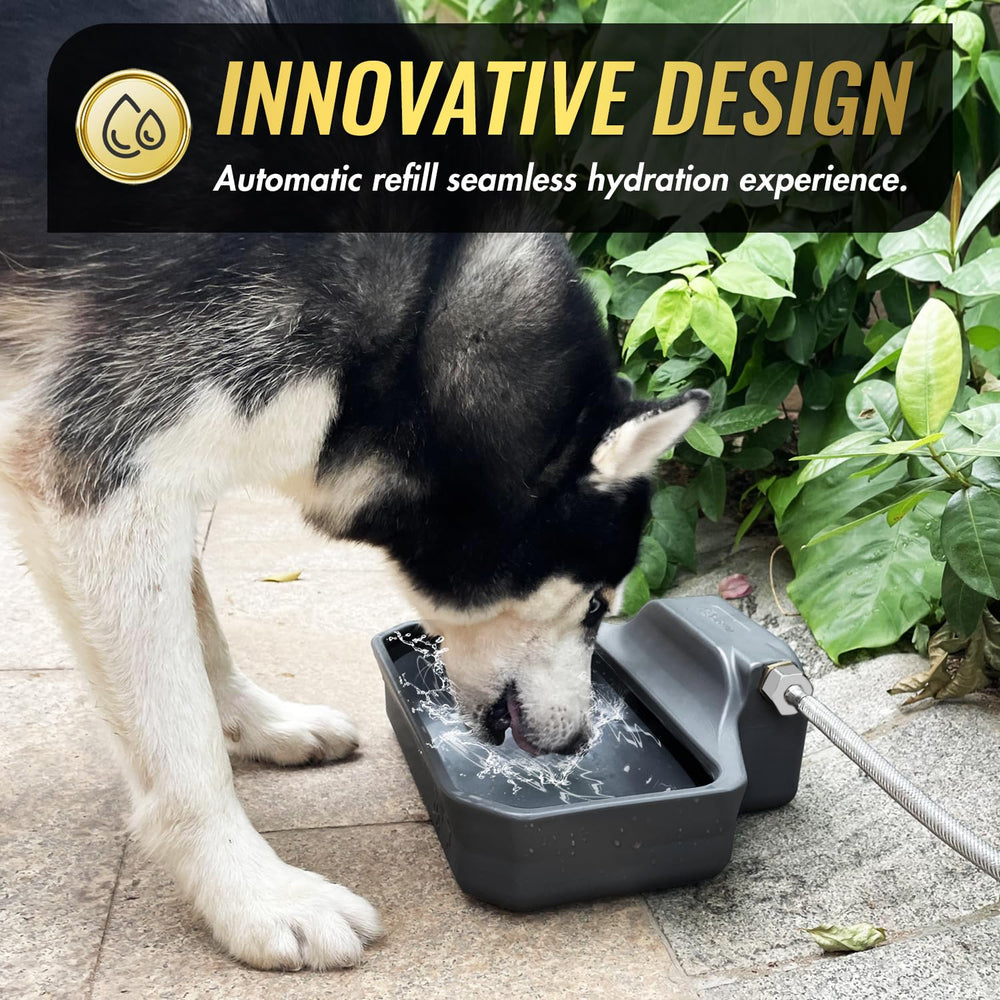 Ficuswin extra-large drinking area ideal for large dogs outdoors