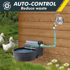 Ficuswin dispenser with copper connector attached to hose for reliable water flow.