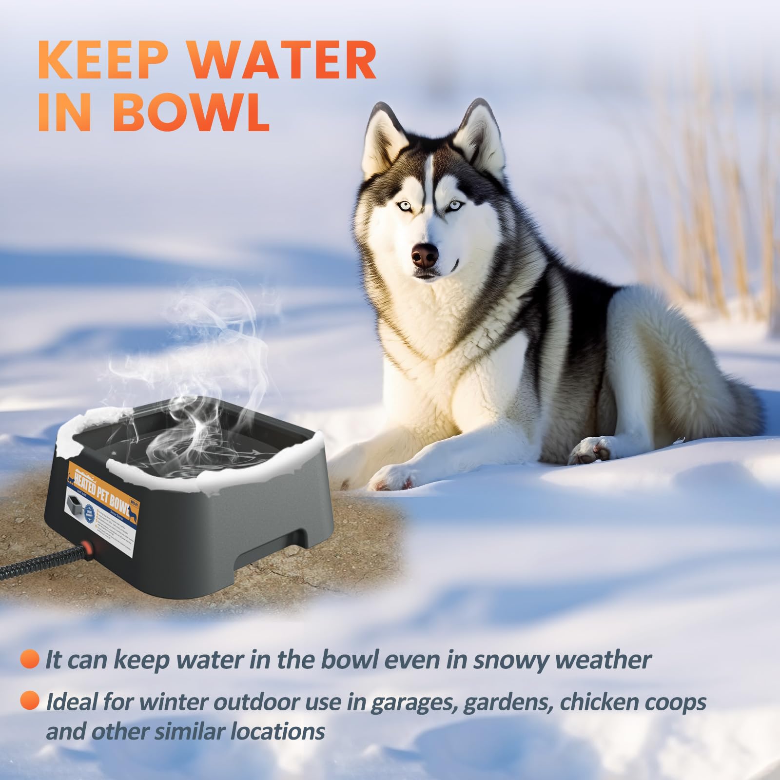 Ficuswin heated water bowl ideal for multi-pet households and farms.