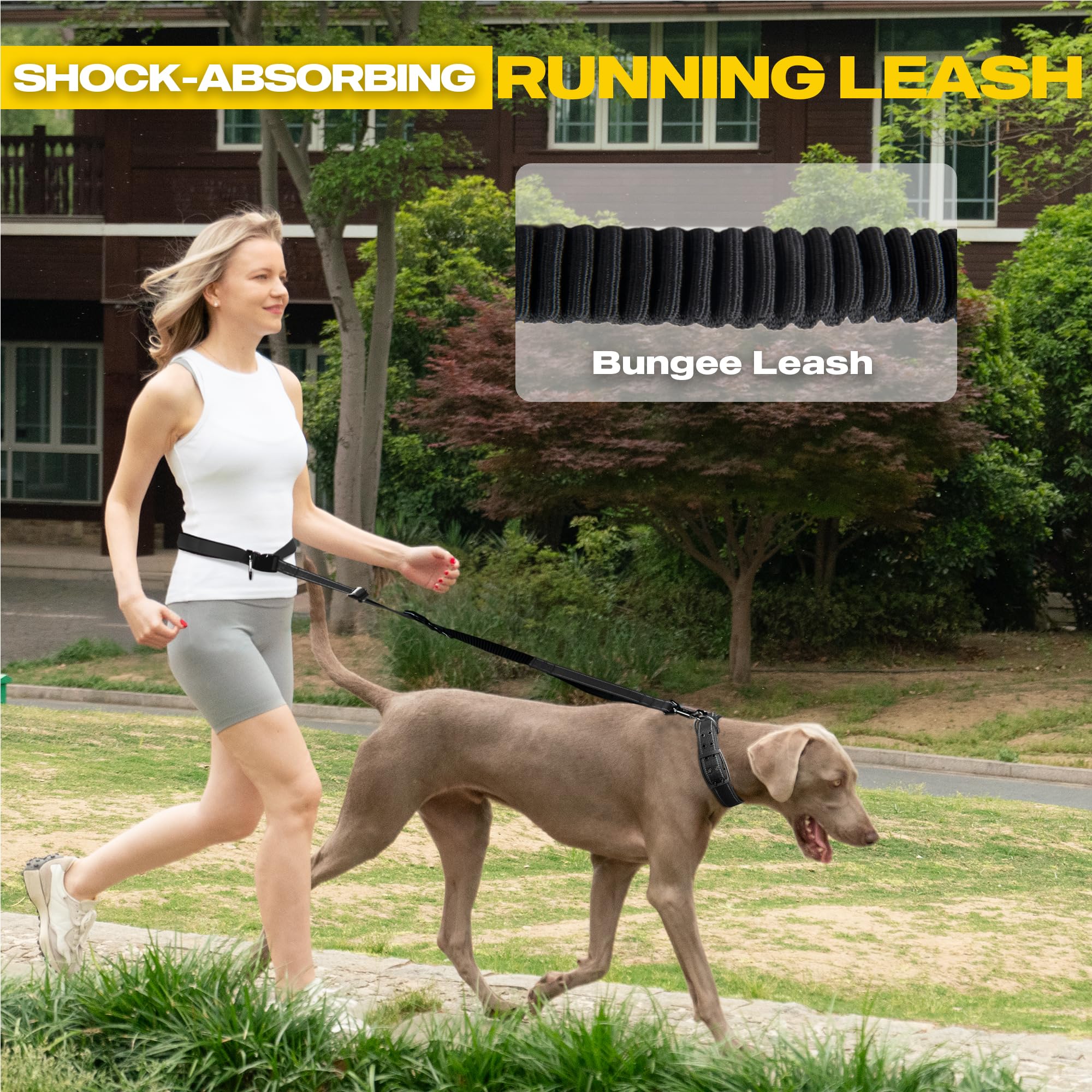 Fida hands-free crossbody view highlights accessibility with secure dog control