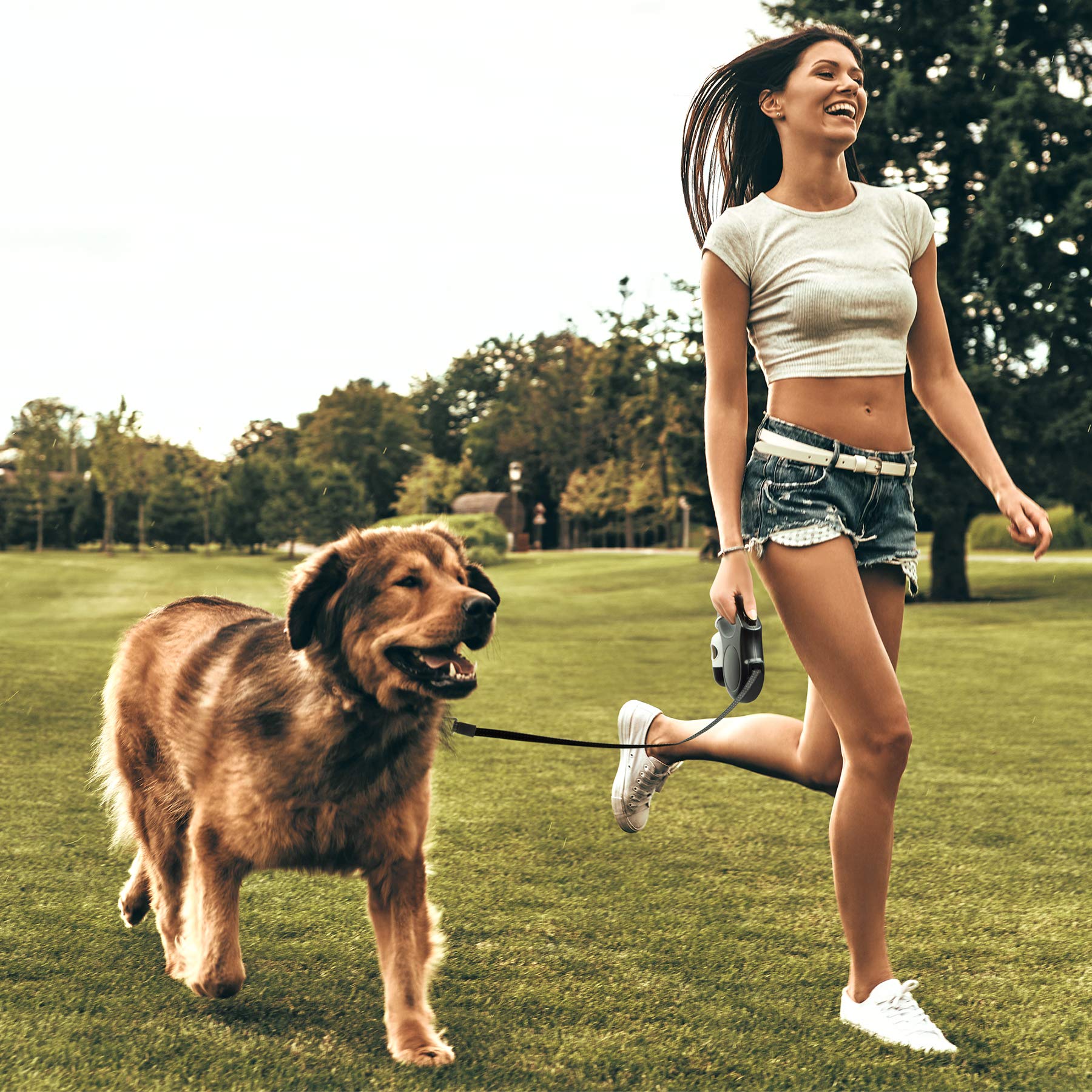 Fida retractable leash with included waste bag holder and bags