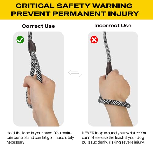 Fida daily walk slip lead used for safe everyday outings