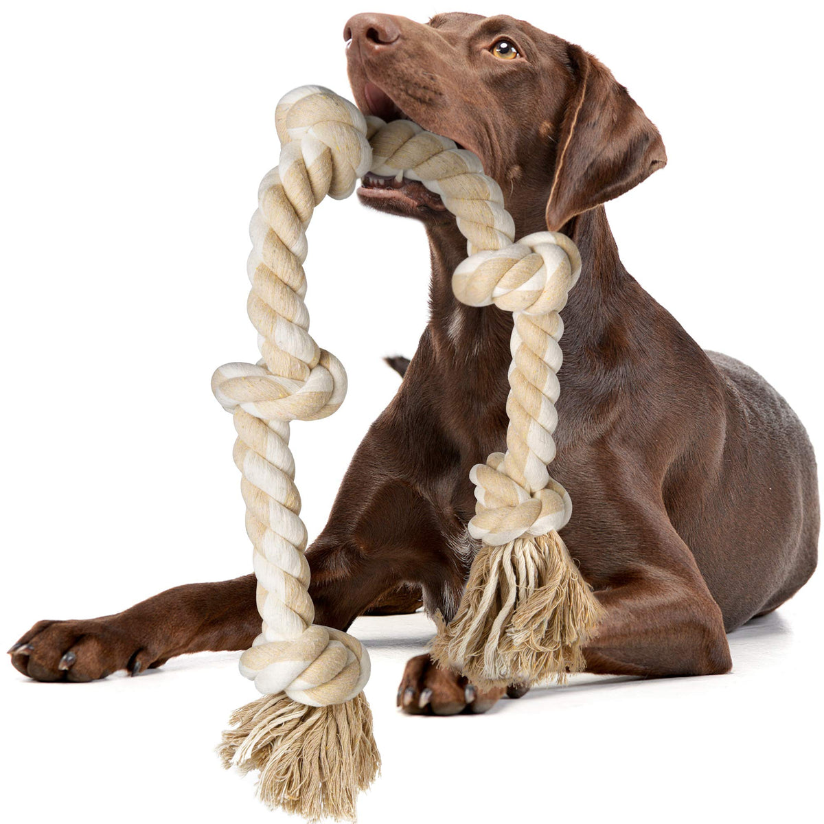 Fida dog rope toy 3ft 5 knots engages aggressive chewers in interactive play.