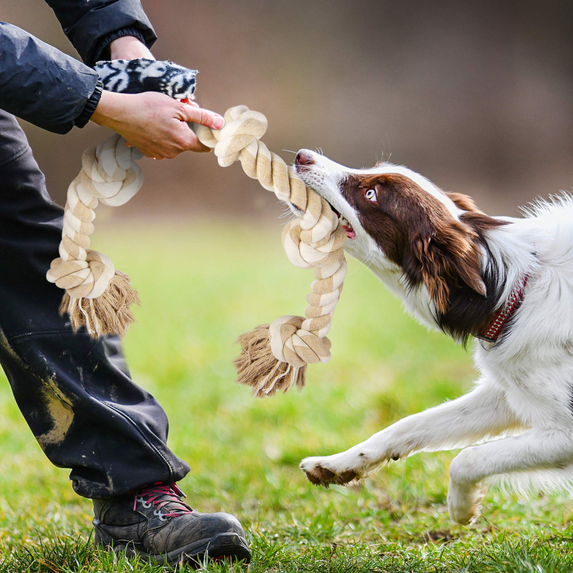 Fida dog rope toy as a gift idea for large dogs and owners.