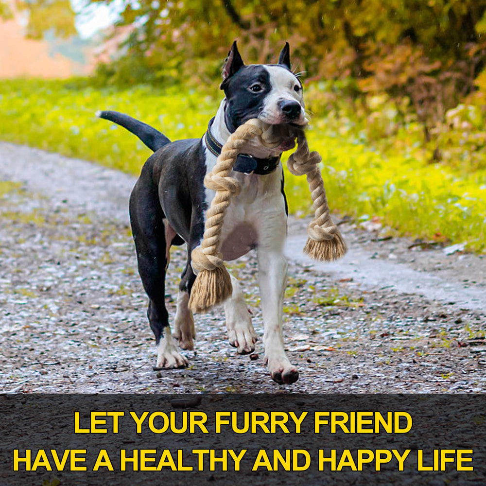 Fida rope toy knots provide durable pull sessions for large breeds.