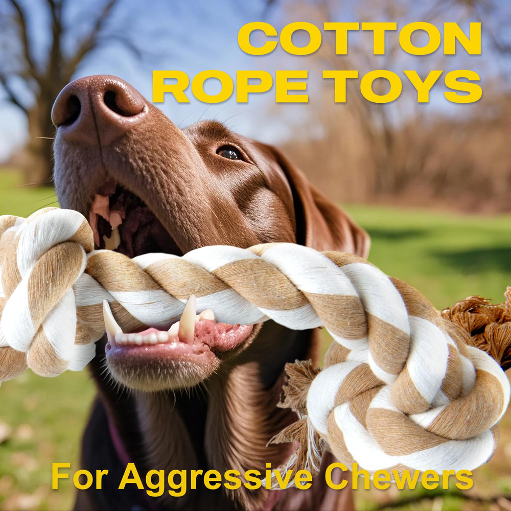 Fida large-breed rope toy demonstrates durability for aggressive chewers.