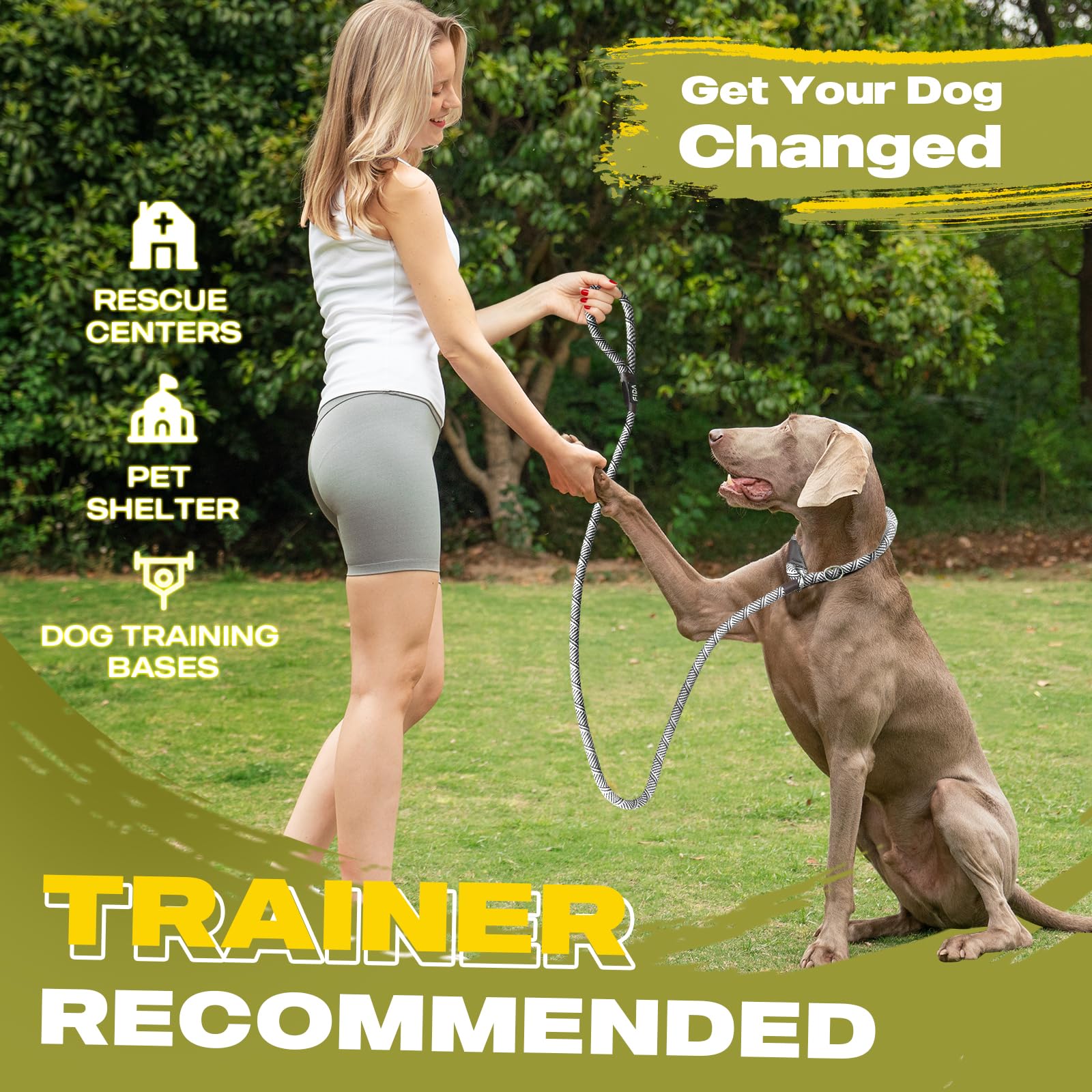 Fida durable slip lead 6 ft length in use during walking