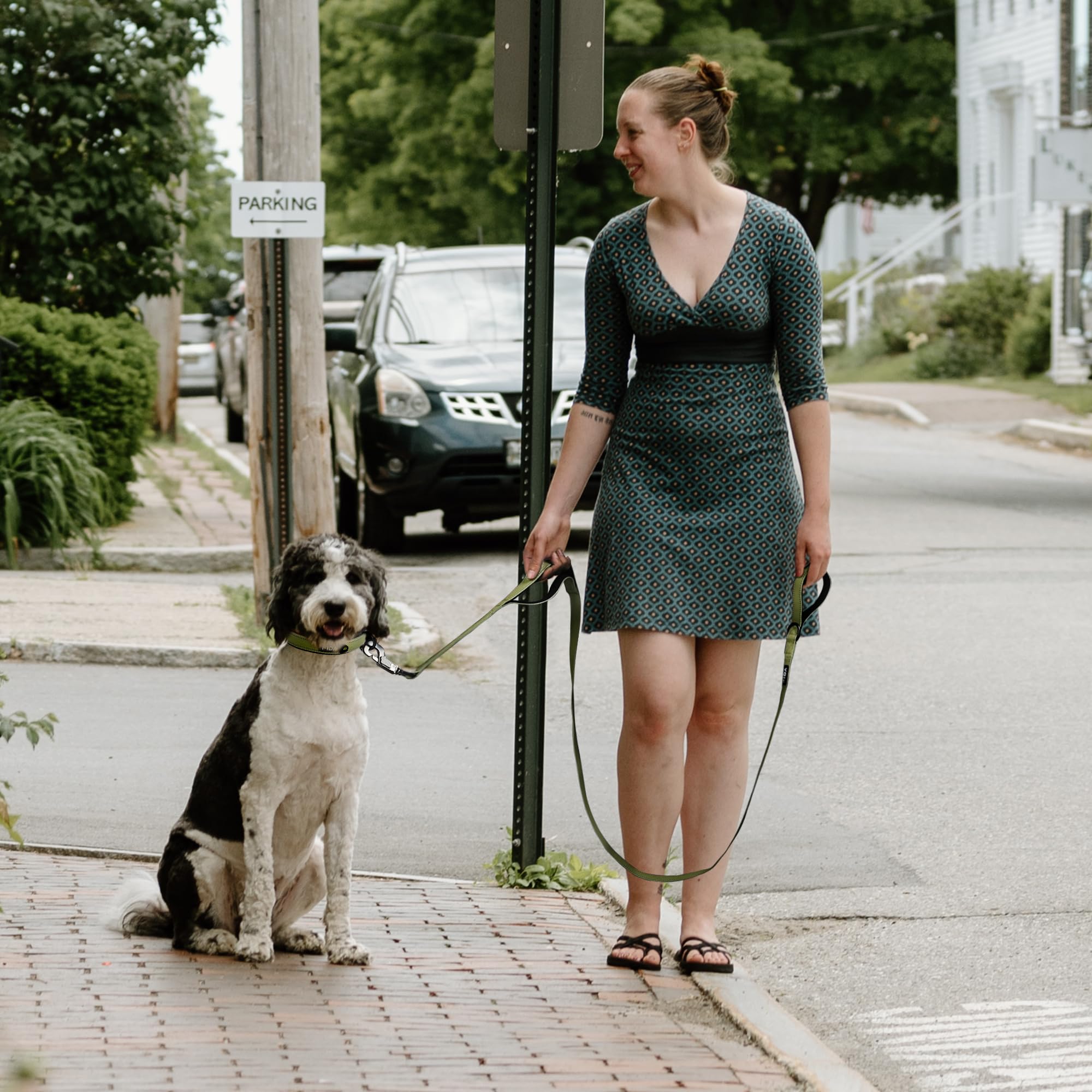 Fida green leash on dog shows stylish, practical everyday walking.