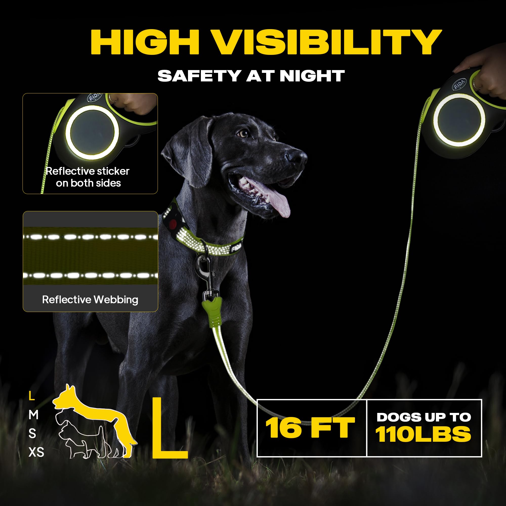 Fida leash with reflective stitching enhances visibility during dusk walks