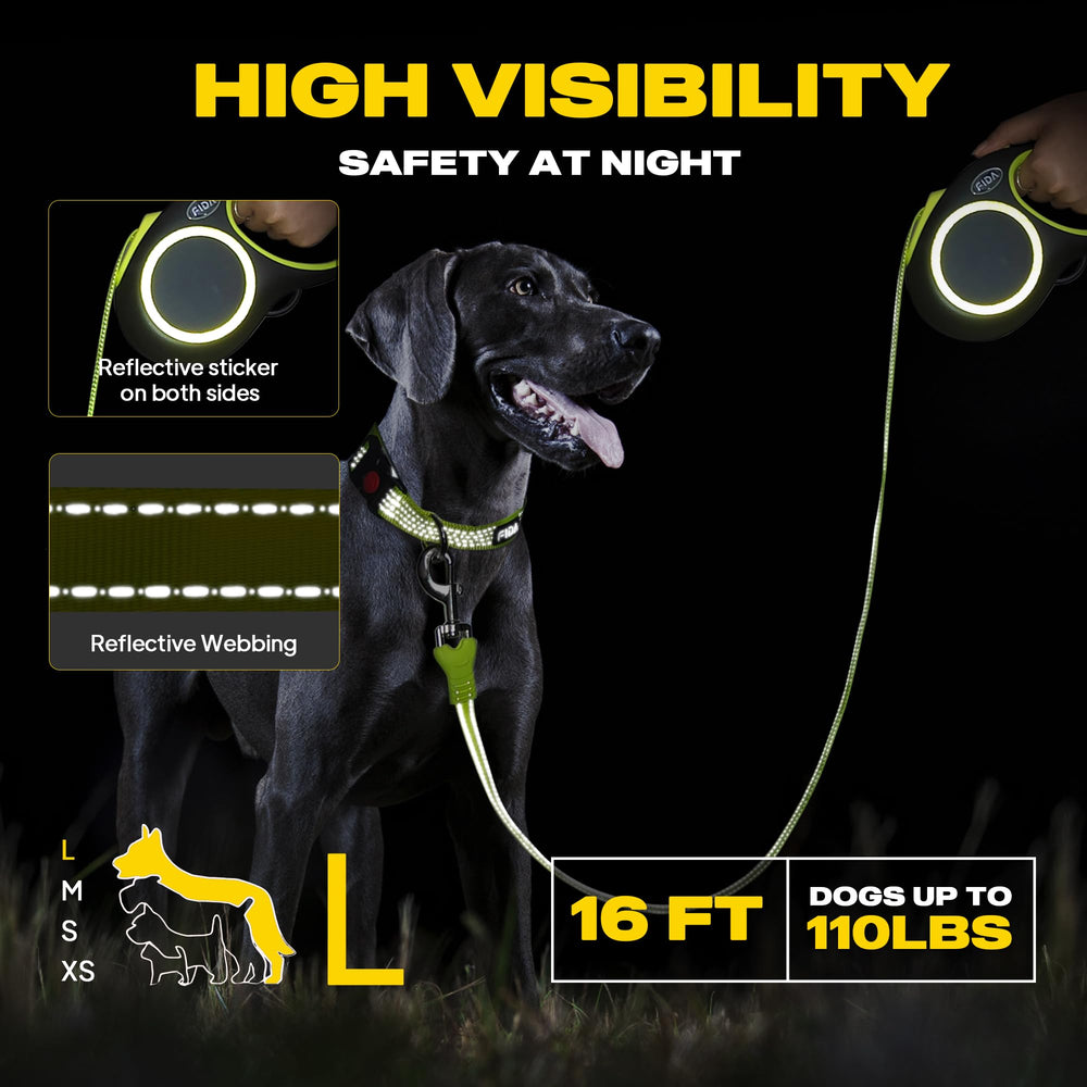Fida leash with reflective stitching enhances visibility during dusk walks