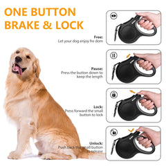 Fida retractable dog leash with tangle-free retraction ensuring smooth control during adventures.