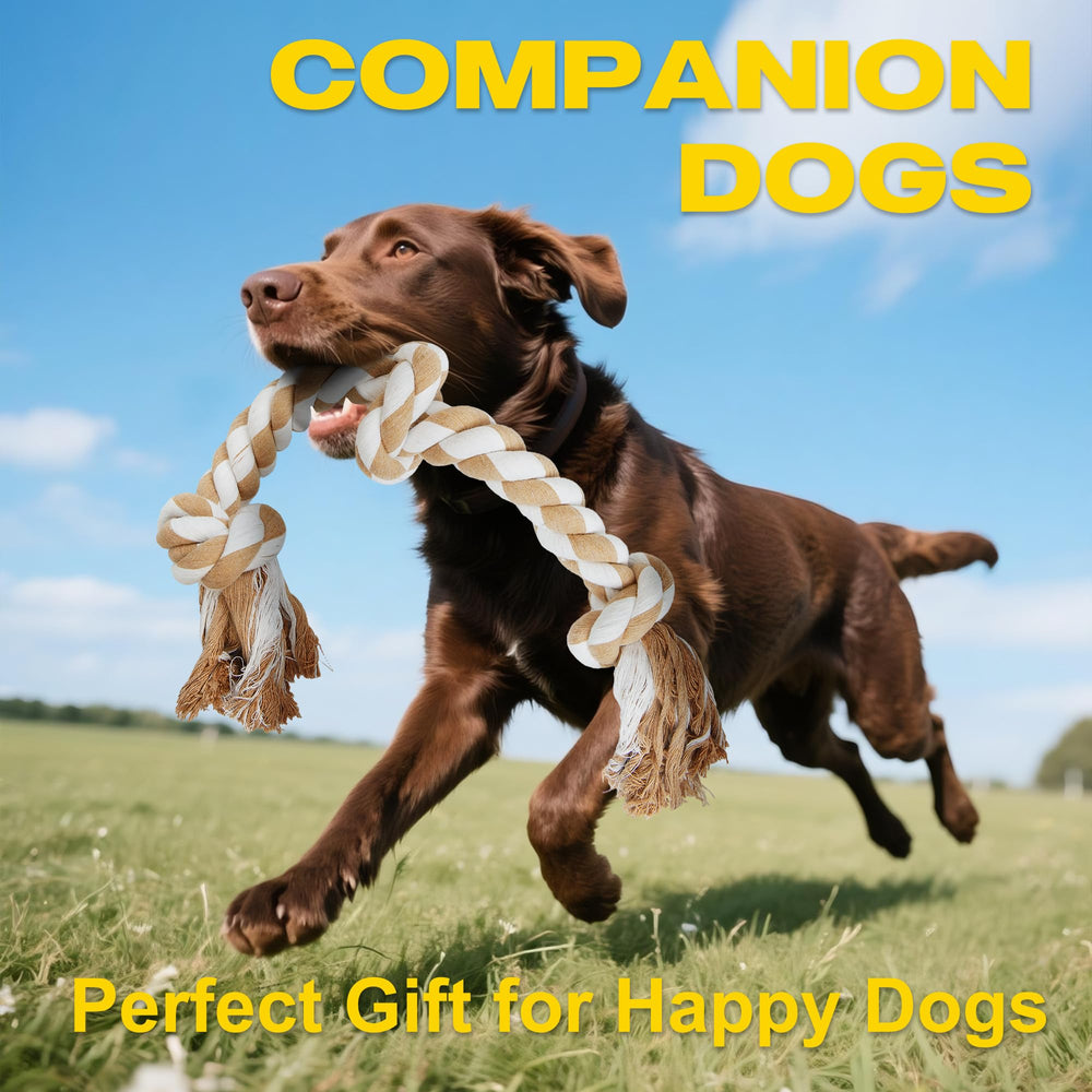 Fida rope toy supports versatile indoor and outdoor play.