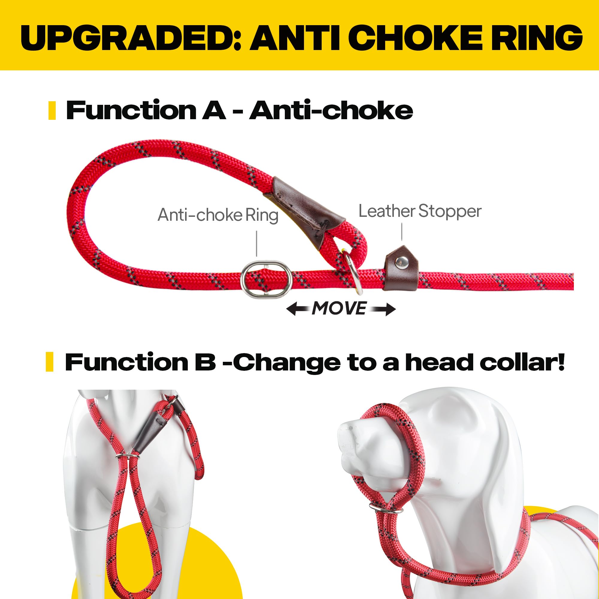 Fida slip lead on a small dog during training enhances control.