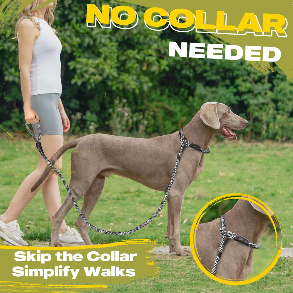 Fida Slip Leads durable metal ring and leather-bound knots provide secure handling
