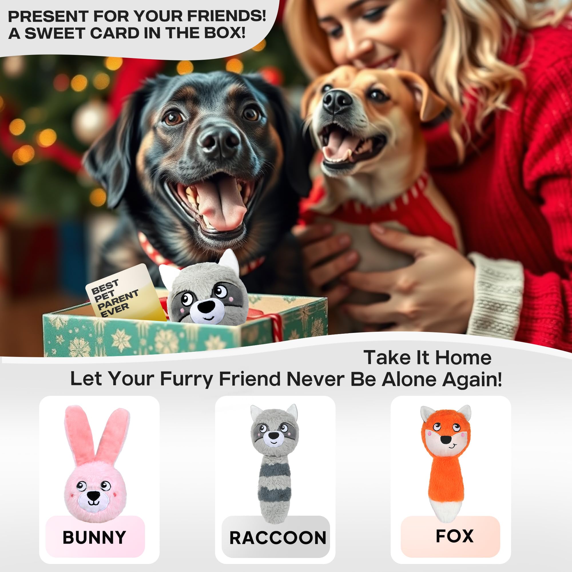 Fida squeaky dog toy greeting-card included enhances gift-giving