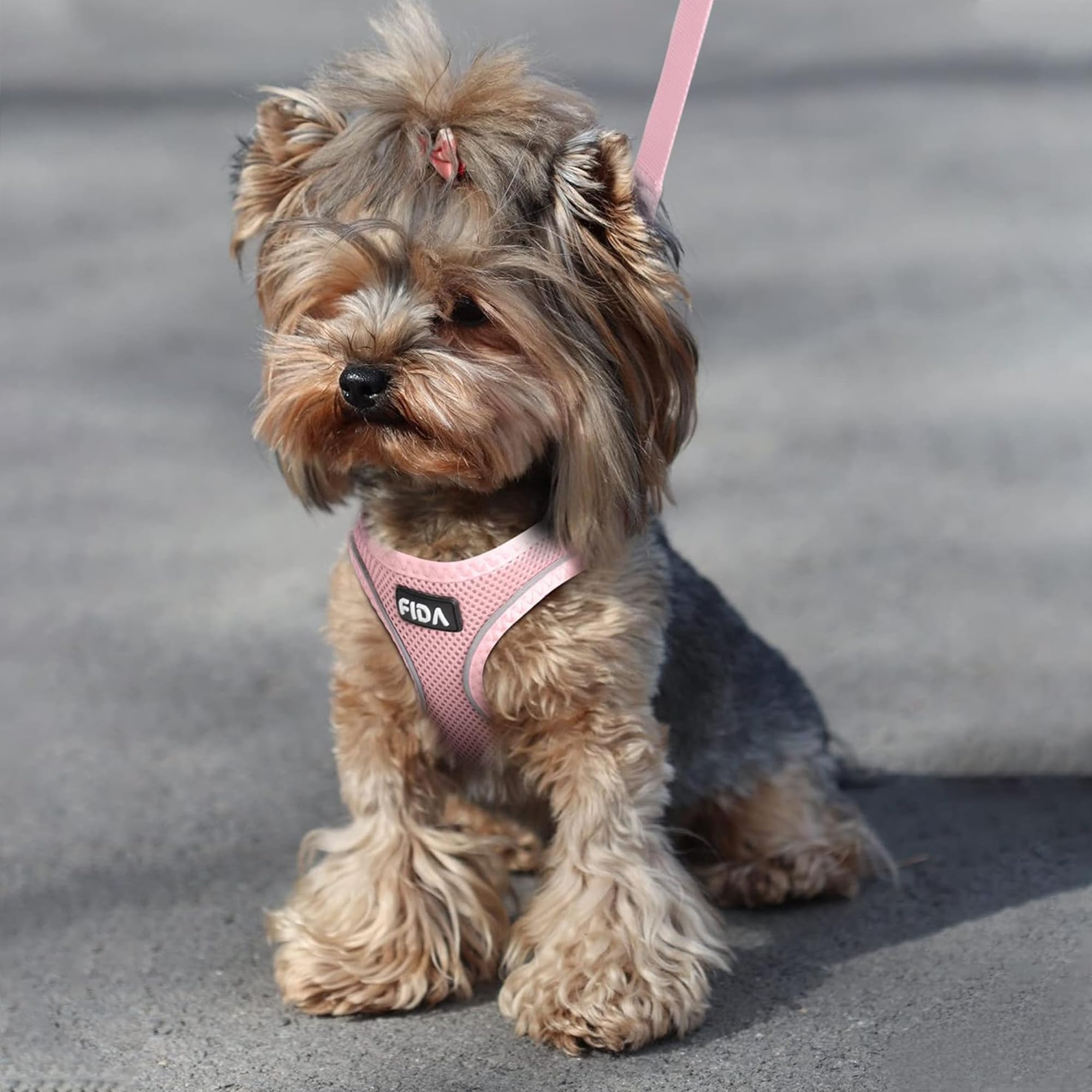 Fida triple-security design harness with velcro, buckle, and D-rings prevents escape