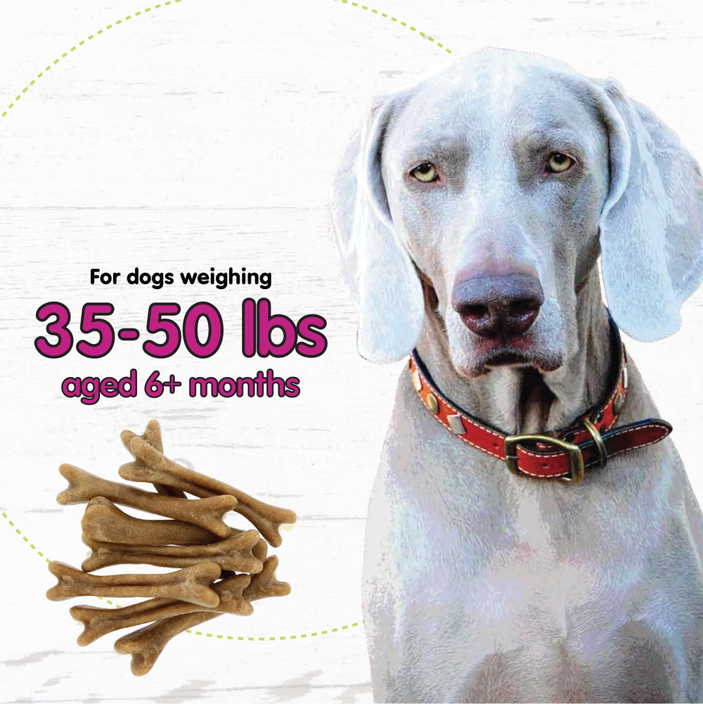Fido Belly Bones 4-inch treat size helps fit medium dogs.
