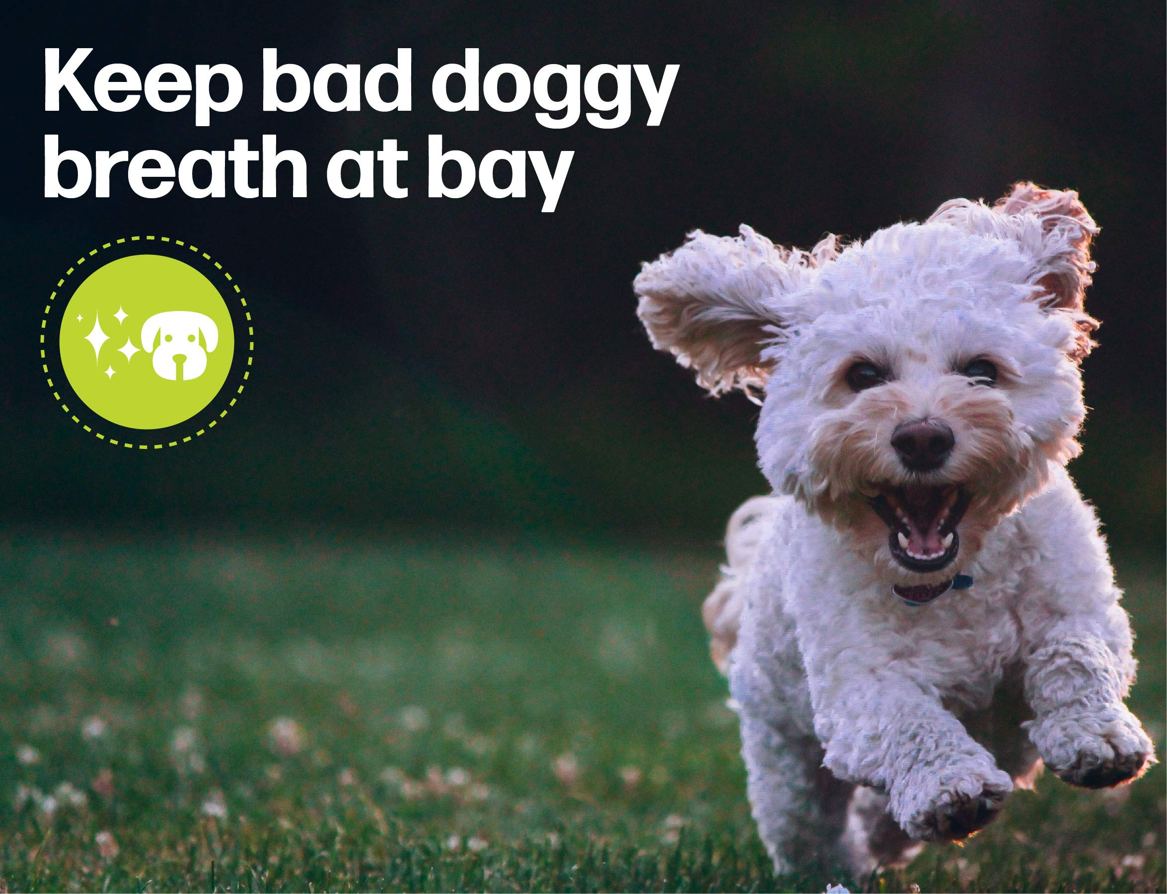 Fido Doozie Bones small-dog-use image shows suitability for 4-18 lb dogs