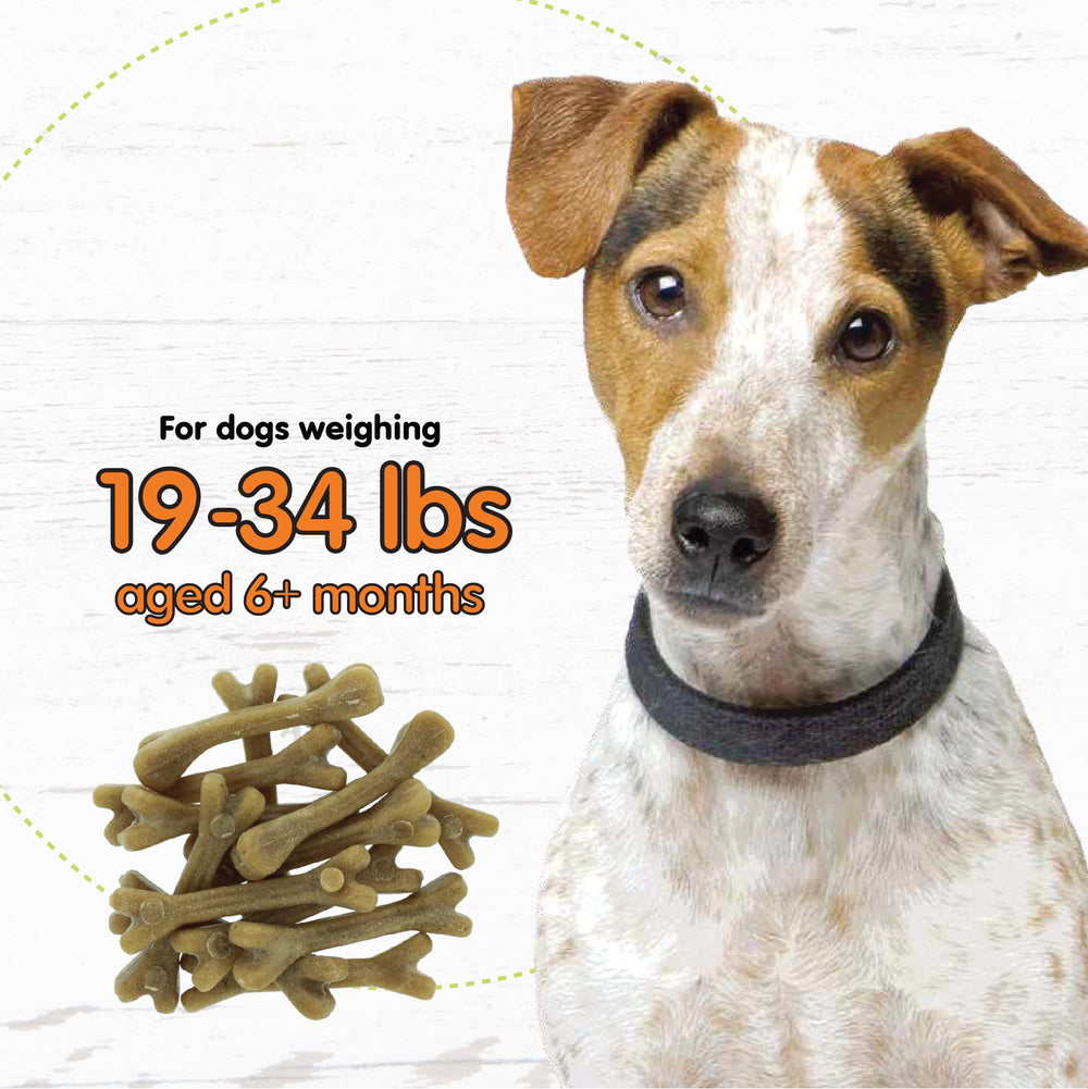 Fido ingredients kelp, parsley, and alfalfa for natural flavor and digestibility.
