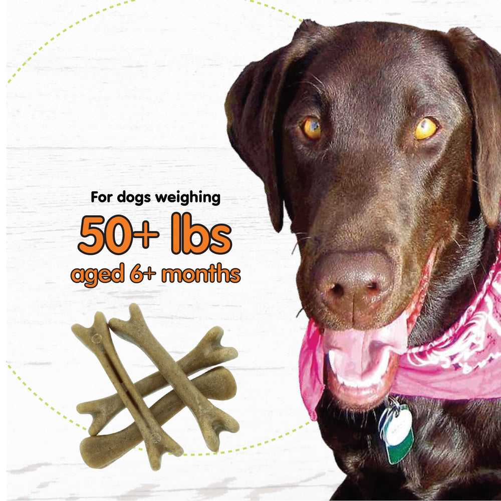 Fido Super Breath large dog bones ideal for strong chewers 50-120 pounds