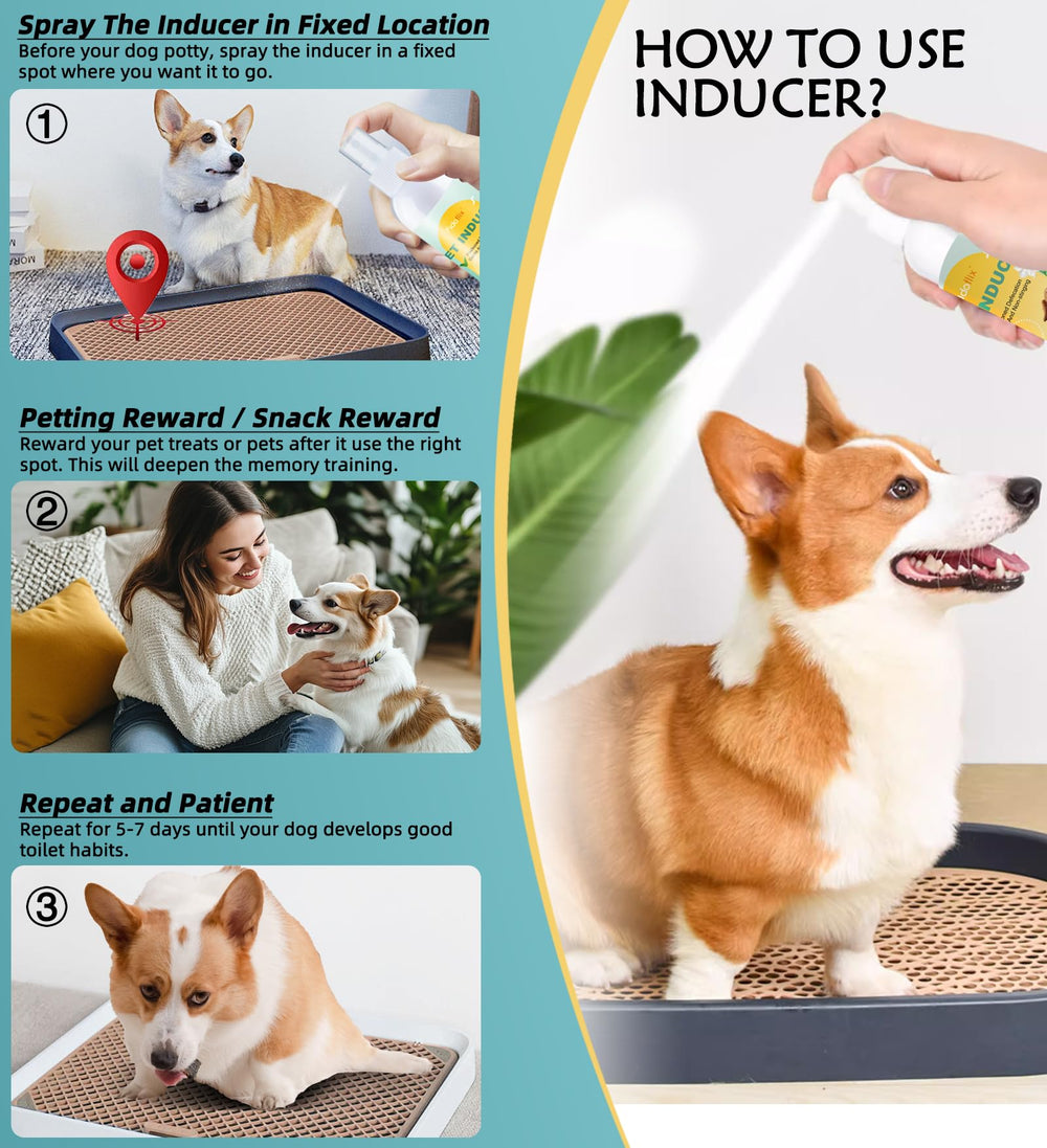 FidoFlix Go Here 120ml-size is travel-friendly for quick training sessions