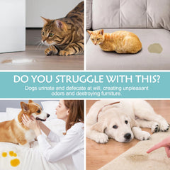 FidoFlix Go Here dogs-cats works for both species to encourage regular elimination