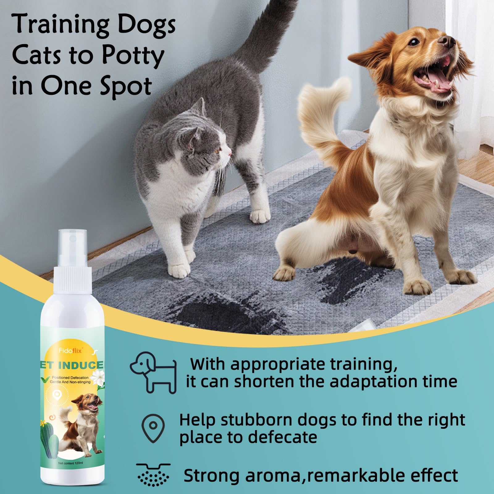 FidoFlix Go Here indoor-use shows safe indoor training for consistent potty cues