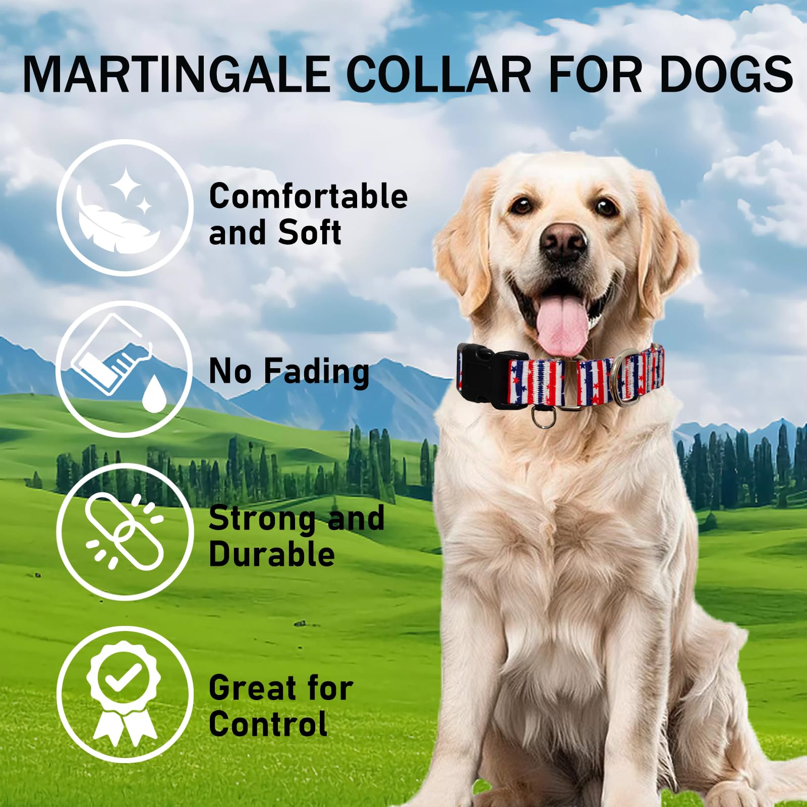 Fidohug American Flag Martingale Collar worn by dog during a relaxed walk.