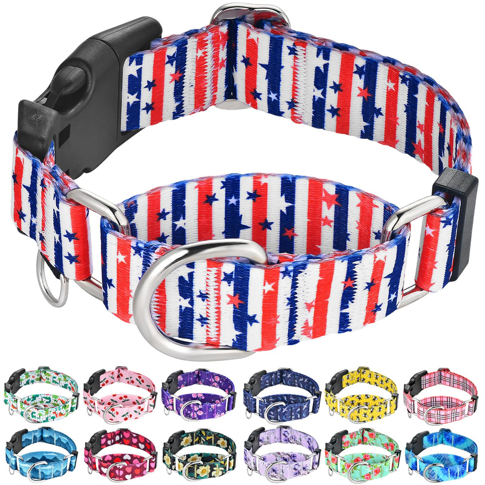 Fidohug American Flag Martingale Collar hero with patriotic design for daily wear.