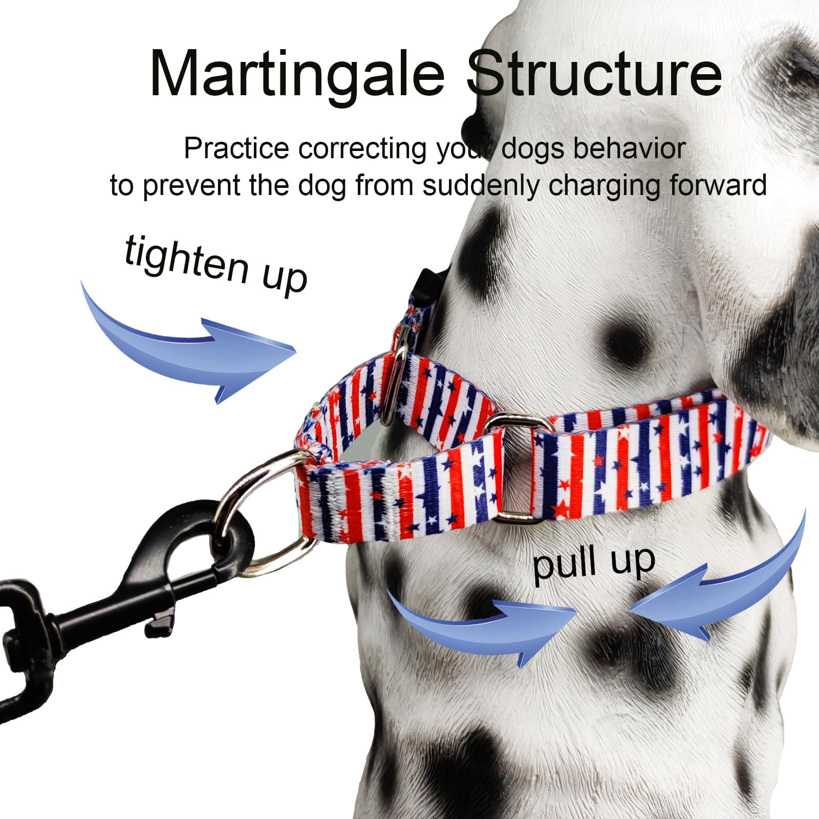 Fidohug American Flag Martingale Collar packaging shot for product unboxing.